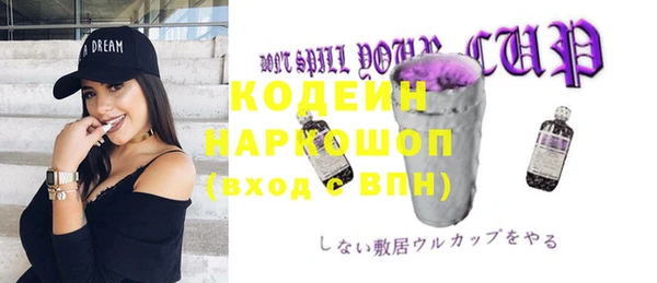 ПСИЛОЦИБИНОВЫЕ ГРИБЫ Арсеньев