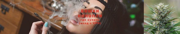 ПСИЛОЦИБИНОВЫЕ ГРИБЫ Арсеньев