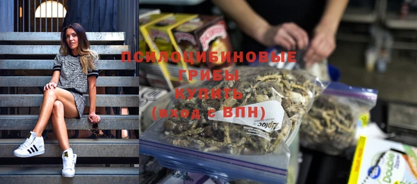 ПСИЛОЦИБИНОВЫЕ ГРИБЫ Арсеньев
